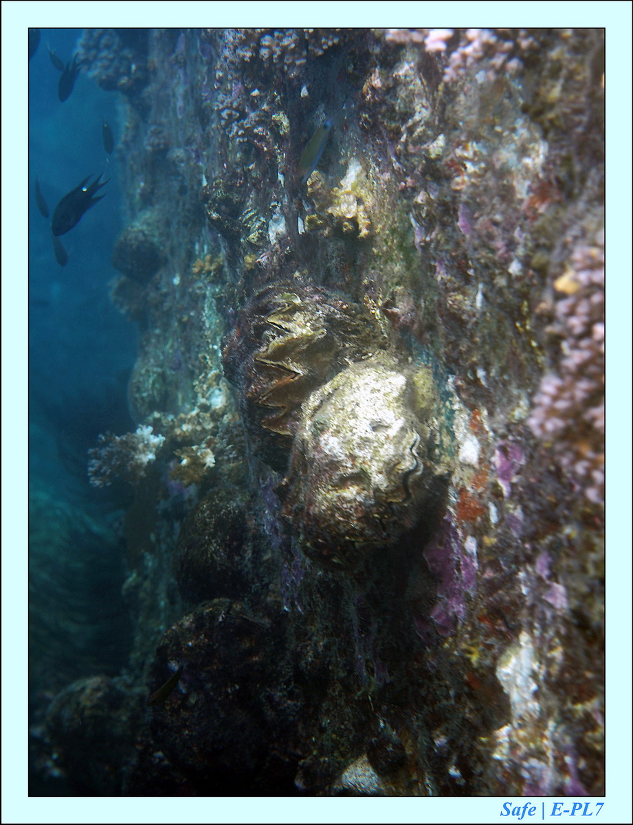 2015   07   Peranthian Islands 81